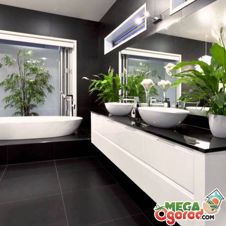 Підбір рослин для ванної кімнати без вікон