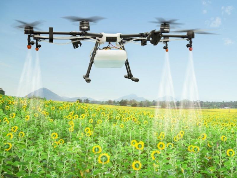  дронів у сільському господарстві 