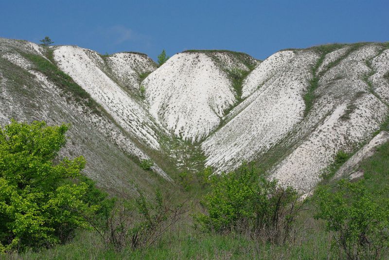 Крейдяні схили Дворічанського парку:   Джерело фото: wikimedia