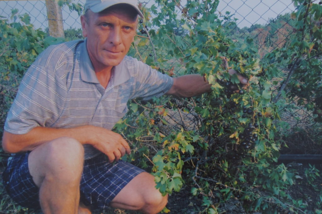 Щоб допомогти своїй дружині Володимир Лопатін, теж учитель, але фізики, запропонував на пришкільній ділянці розбити сад - з ним клопоту менше